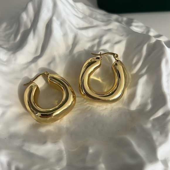 Sculptural Hoops Earrings - Picture 11 of 11